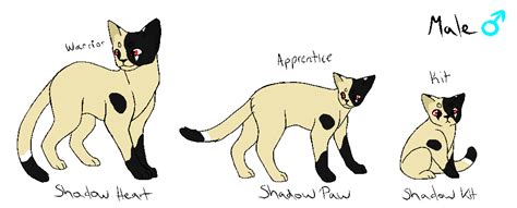 shadow hearts timeline|Shadow Hearts Timeline .